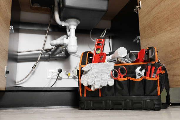 Best Same-Day Plumbing Service  in Tellico Village, TN