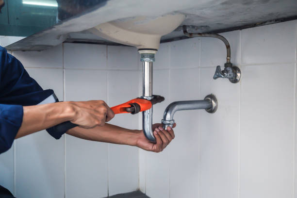 Best Local Plumber Services  in Tellico Village, TN